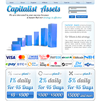 Capitalist Assets