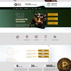 bulls-trade