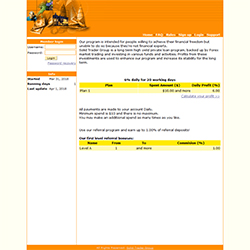 solidtradergroup