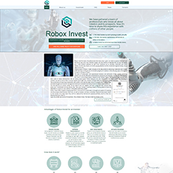 robox-invest