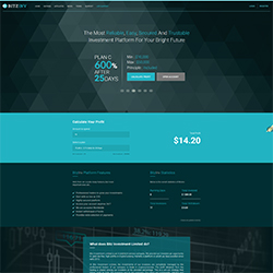 bitzinv