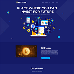 bitpayeer status