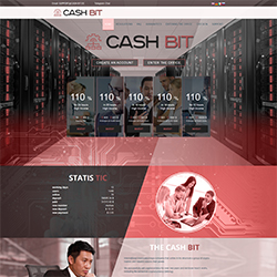 cash-bit status