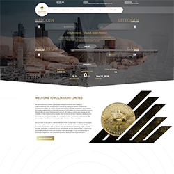 holdcoins status