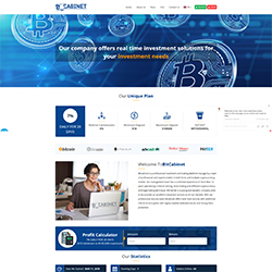 bitcabinet status