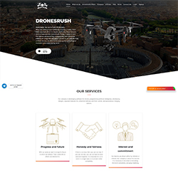 dronesrush status