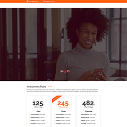 Ramonainv.com shot