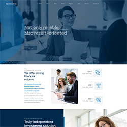VevreCapital.Net shot